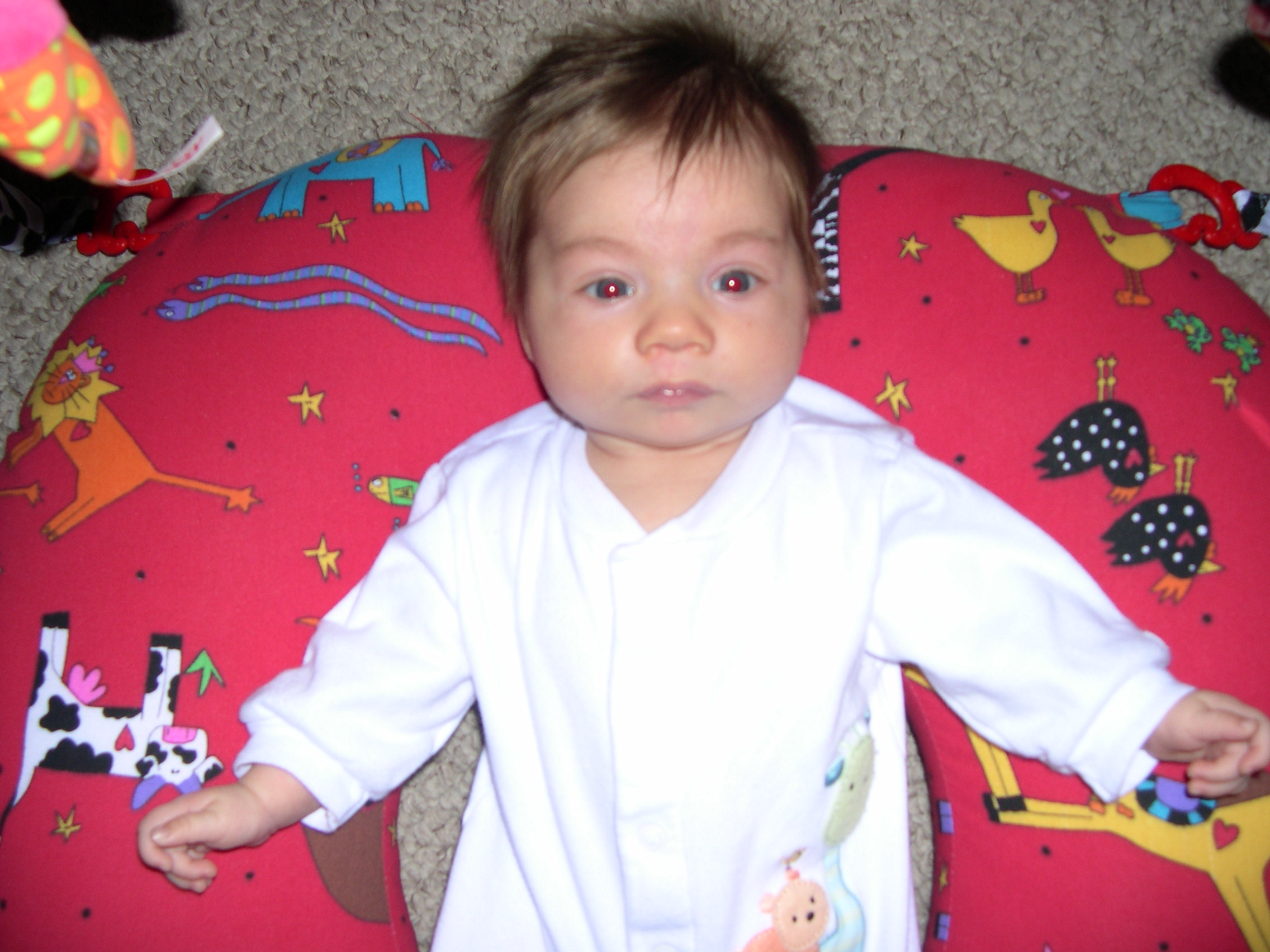April 14, 2004