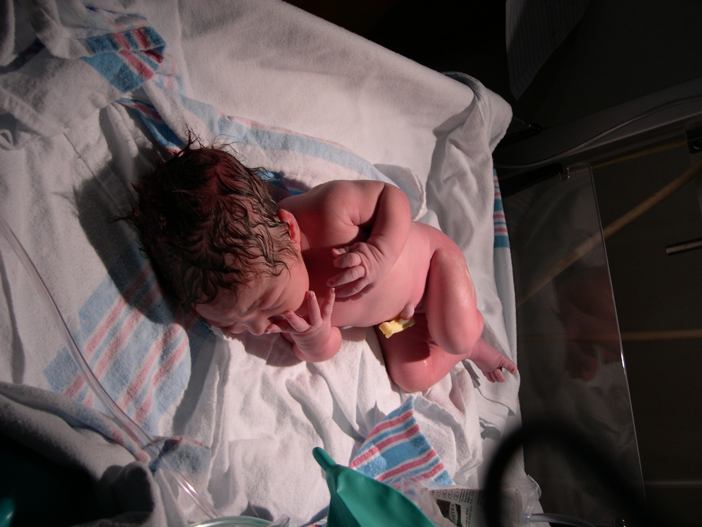 Liily's Birth